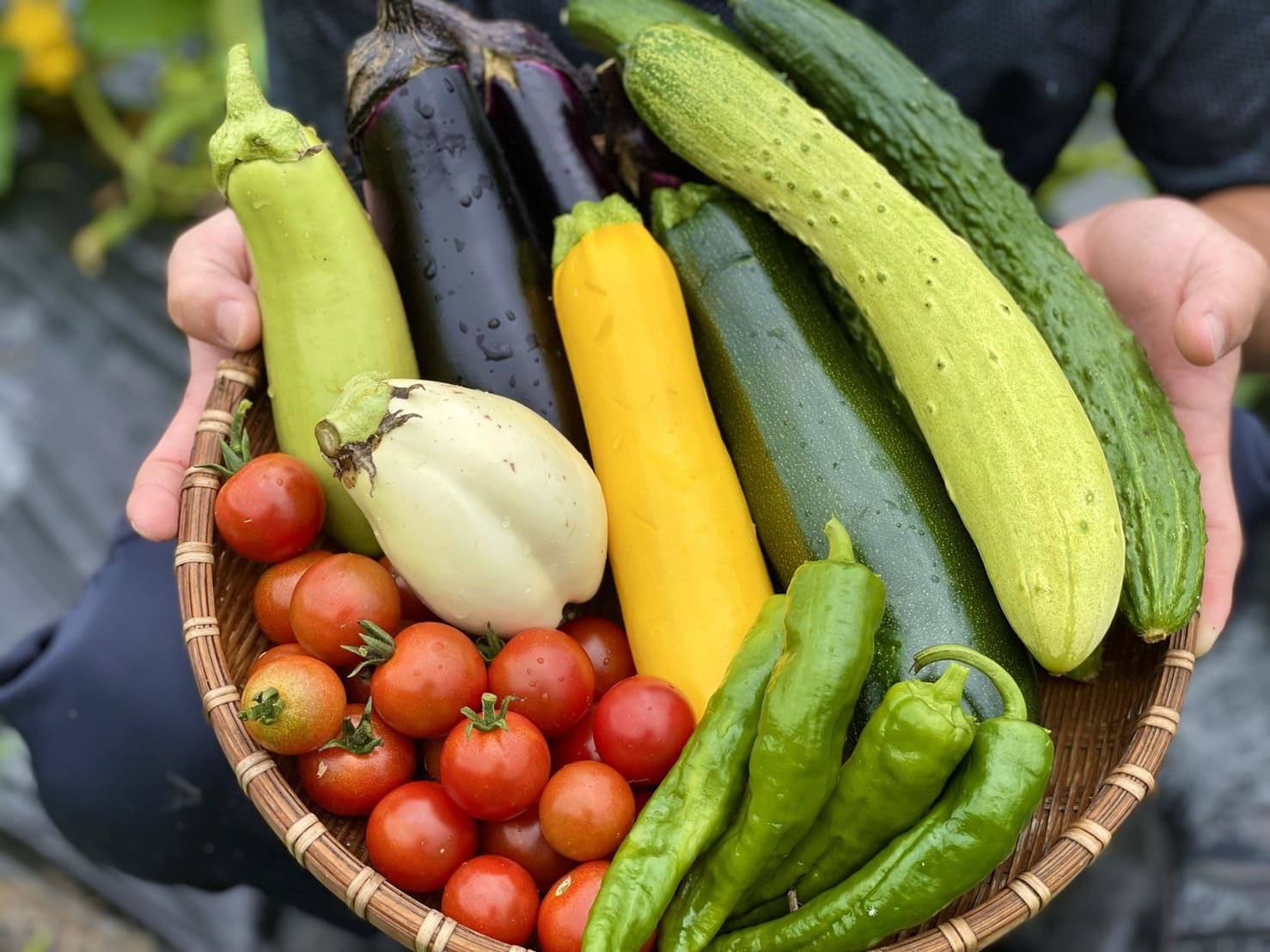 数種類の野菜の写真